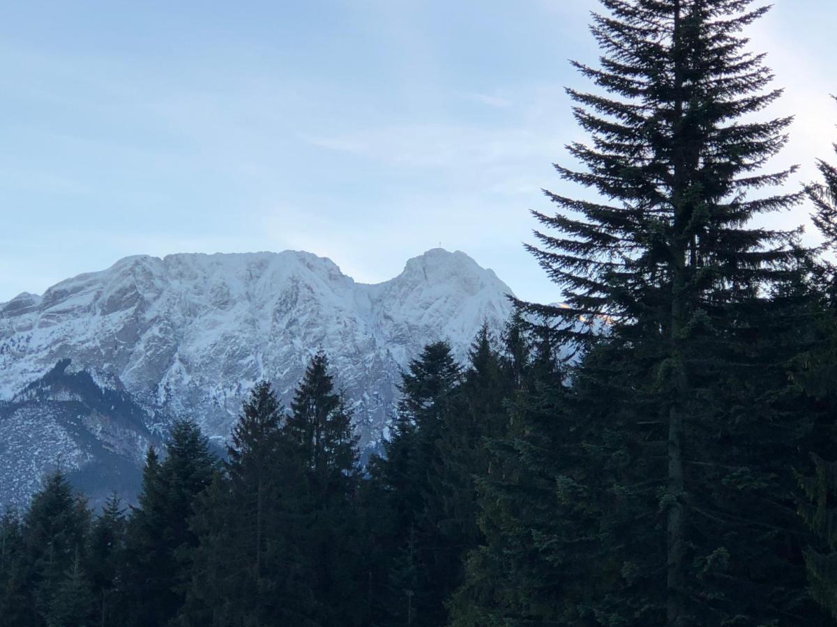 Apartment 100 M2 - Nabucco With 270 Degree Mountain View, 65 Oled Tv, Netflix, Ps5 Console Zakopane